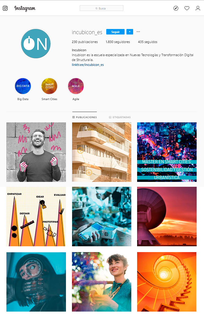 Feed Instagram